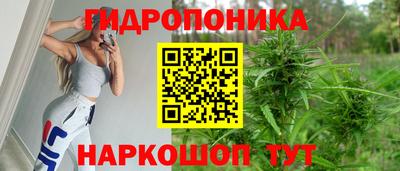 марихуана Краснознаменск