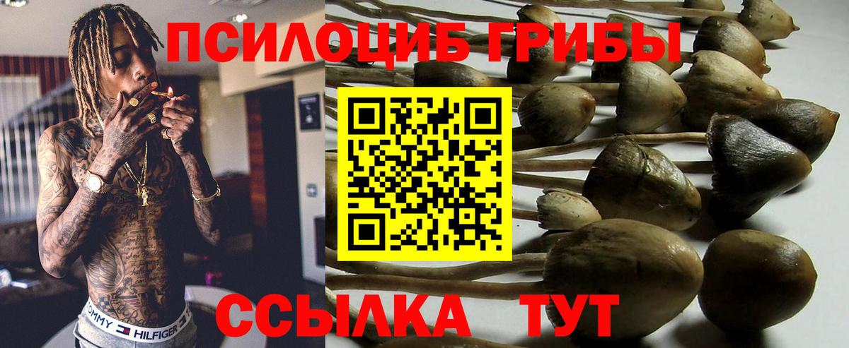 Псилоцибиновые грибы мухоморы  Вход с VPN  Качканар  Галлюциногенные грибы мухоморы 
